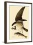 Osprey in Flight-John James Audubon-Framed Giclee Print