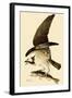 Osprey in Flight-John James Audubon-Framed Giclee Print