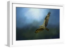 Osprey in the Evening Light-Jai Johnson-Framed Giclee Print