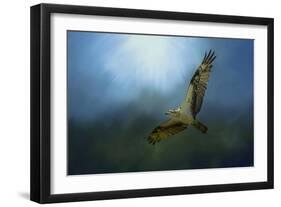 Osprey in the Evening Light-Jai Johnson-Framed Premium Giclee Print