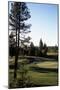 Osprey Meadow at Tamarack Resort, Hole 18-Stephen Szurlej-Mounted Premium Photographic Print