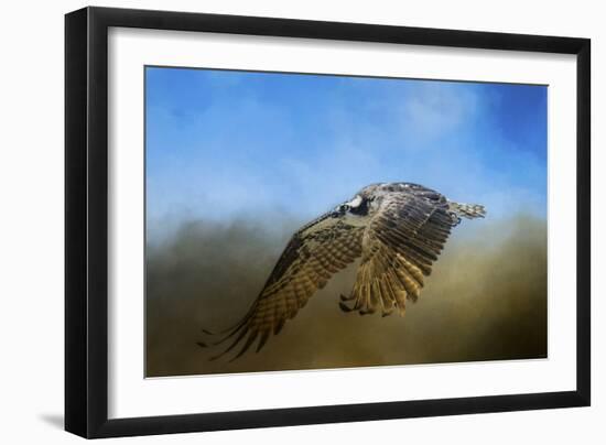 Osprey over Pickwick-Jai Johnson-Framed Premium Giclee Print