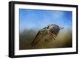 Osprey over Pickwick-Jai Johnson-Framed Premium Giclee Print