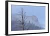 Osprey (Pandion Haliaetus) Along the Madison River-Michael Nolan-Framed Photographic Print