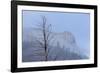 Osprey (Pandion Haliaetus) Along the Madison River-Michael Nolan-Framed Photographic Print