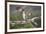 Osprey (Pandion Haliaetus) Eating Fish Prey, Cairngorms National Park, Scotland, UK, July-Peter Cairns-Framed Photographic Print