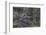 Osprey (Pandion Haliaetus) Fledglings-Michael Nolan-Framed Photographic Print