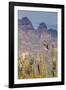 Osprey (Pandion Haliaetus) Taking Flight with Fish Near Honeymoon Bay-Michael Nolan-Framed Photographic Print