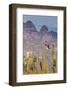 Osprey (Pandion Haliaetus) Taking Flight with Fish Near Honeymoon Bay-Michael Nolan-Framed Photographic Print