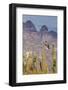 Osprey (Pandion Haliaetus) Taking Flight with Fish Near Honeymoon Bay-Michael Nolan-Framed Photographic Print