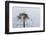 Osprey (Pandion Haliaetus)-Michael Nolan-Framed Premium Photographic Print