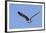 Osprey Takes Off-Hal Beral-Framed Photographic Print