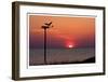 Osprey-Matthew Lusk-Framed Giclee Print