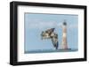 Osprey-Gary Carter-Framed Premium Photographic Print