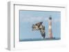 Osprey-Gary Carter-Framed Premium Photographic Print