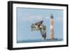 Osprey-Gary Carter-Framed Photographic Print