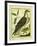 Osprey-Georges-Louis Buffon-Framed Giclee Print