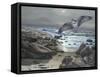 Osprey-Bruce Dumas-Framed Stretched Canvas