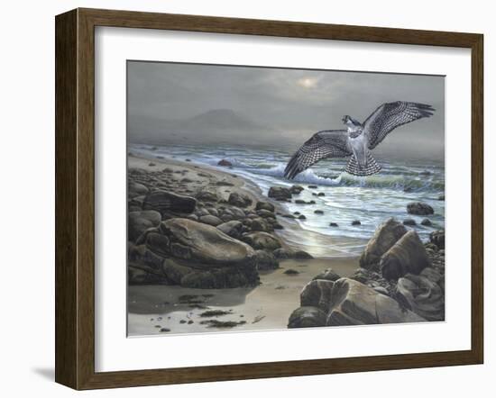 Osprey-Bruce Dumas-Framed Giclee Print