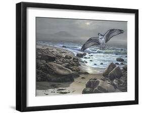Osprey-Bruce Dumas-Framed Giclee Print