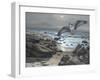 Osprey-Bruce Dumas-Framed Giclee Print