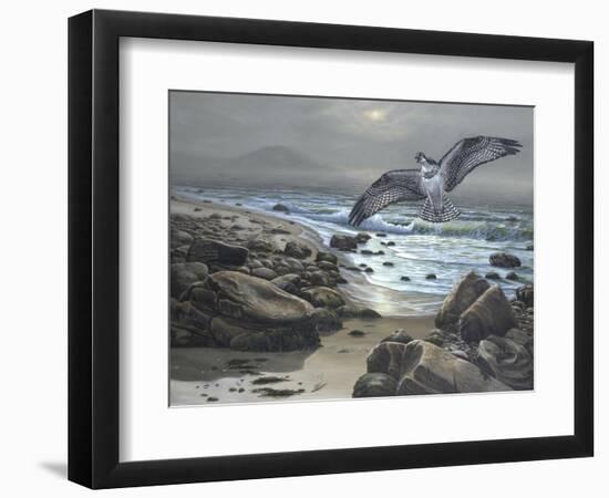 Osprey-Bruce Dumas-Framed Premium Giclee Print