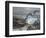 Osprey-Bruce Dumas-Framed Premium Giclee Print