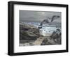 Osprey-Bruce Dumas-Framed Premium Giclee Print