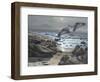 Osprey-Bruce Dumas-Framed Giclee Print