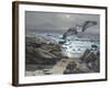 Osprey-Bruce Dumas-Framed Giclee Print