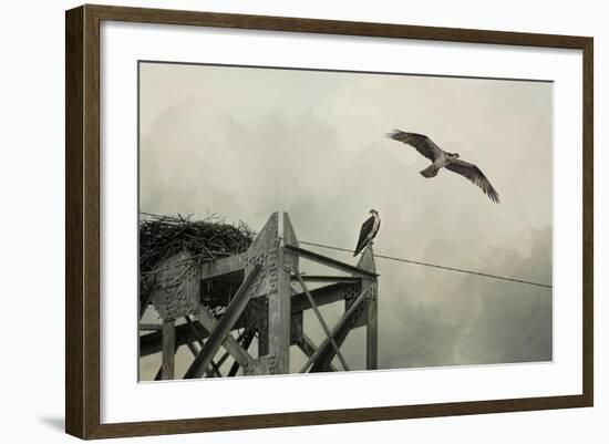 Ospreys at Pickwick-Jai Johnson-Framed Giclee Print