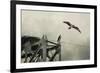 Ospreys at Pickwick-Jai Johnson-Framed Giclee Print