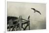 Ospreys at Pickwick-Jai Johnson-Framed Giclee Print