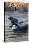 Ossipee Lake, New Hampshire - Loon Family-Lantern Press-Stretched Canvas