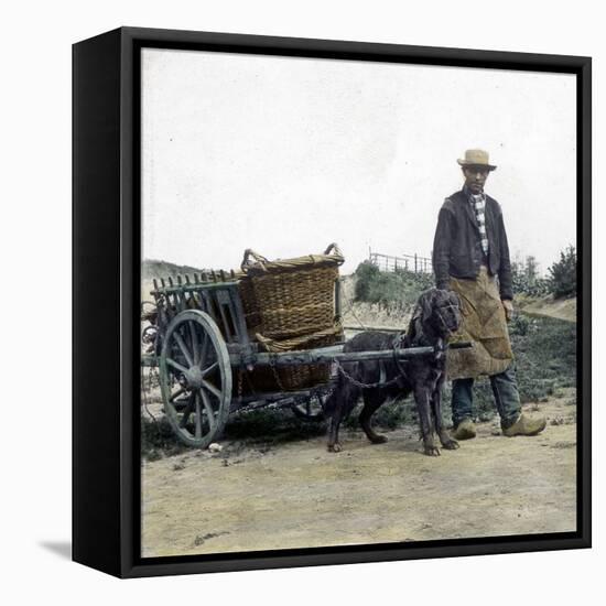 Ostend (Belgium), Dog-Pulled Cart-Leon, Levy et Fils-Framed Stretched Canvas