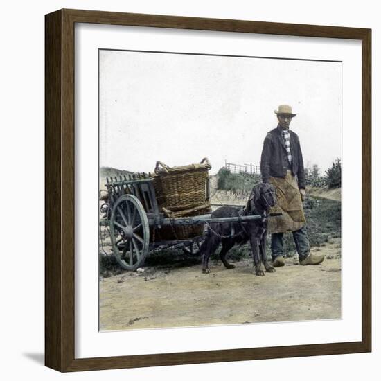 Ostend (Belgium), Dog-Pulled Cart-Leon, Levy et Fils-Framed Photographic Print