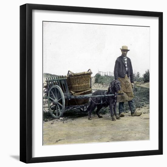 Ostend (Belgium), Dog-Pulled Cart-Leon, Levy et Fils-Framed Photographic Print