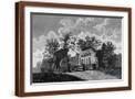 Brown Frame