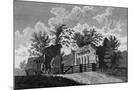 Wood Mount