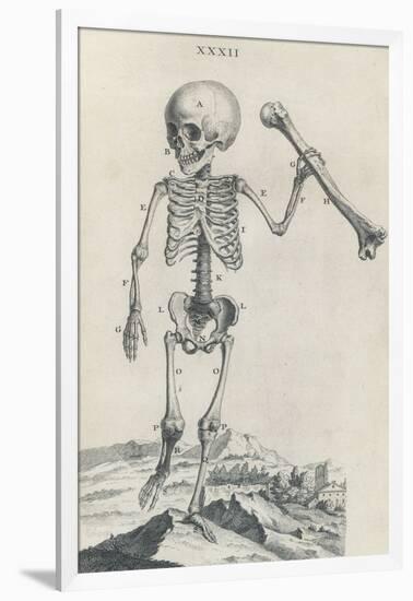 Osteographia, 1733-Science Source-Framed Giclee Print