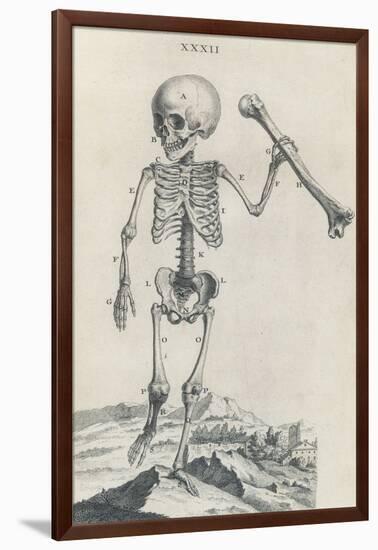 Osteographia, 1733-Science Source-Framed Giclee Print