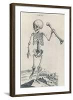 Osteographia, 1733-Science Source-Framed Giclee Print