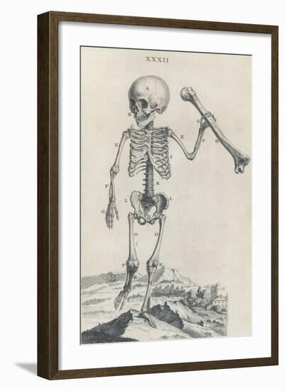 Osteographia, 1733-Science Source-Framed Giclee Print