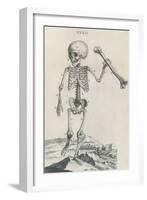 Osteographia, 1733-Science Source-Framed Giclee Print