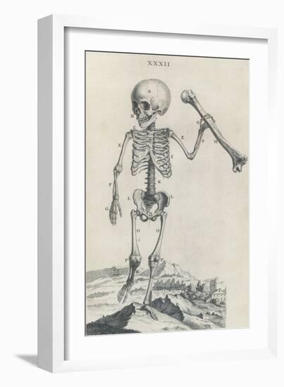 Osteographia, 1733-Science Source-Framed Giclee Print