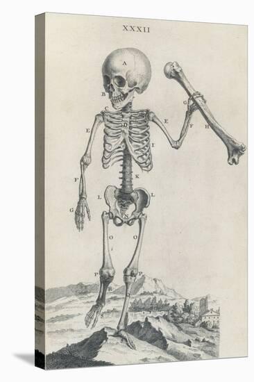 Osteographia, 1733-Science Source-Stretched Canvas