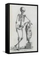 Osteographia, 1733-Science Source-Framed Stretched Canvas