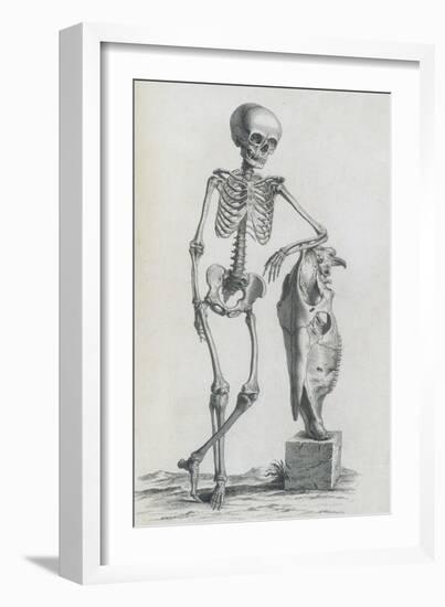 Osteographia, 1733-Science Source-Framed Giclee Print