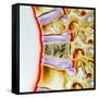 Osteoporitic Spine-John Bavosi-Framed Stretched Canvas