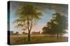 Osterley House and Park at Evening-William Hannan-Stretched Canvas